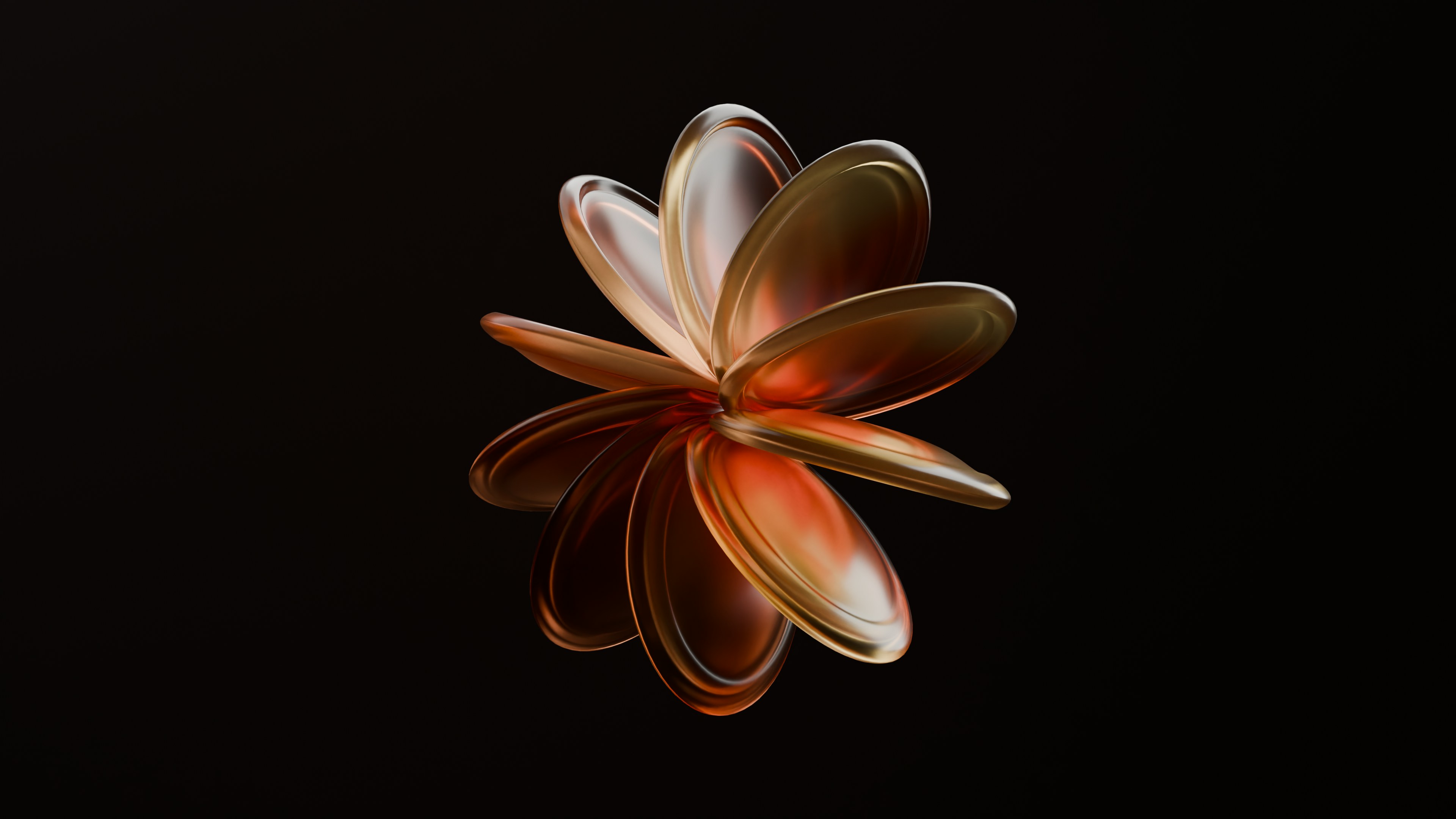 Project 3D